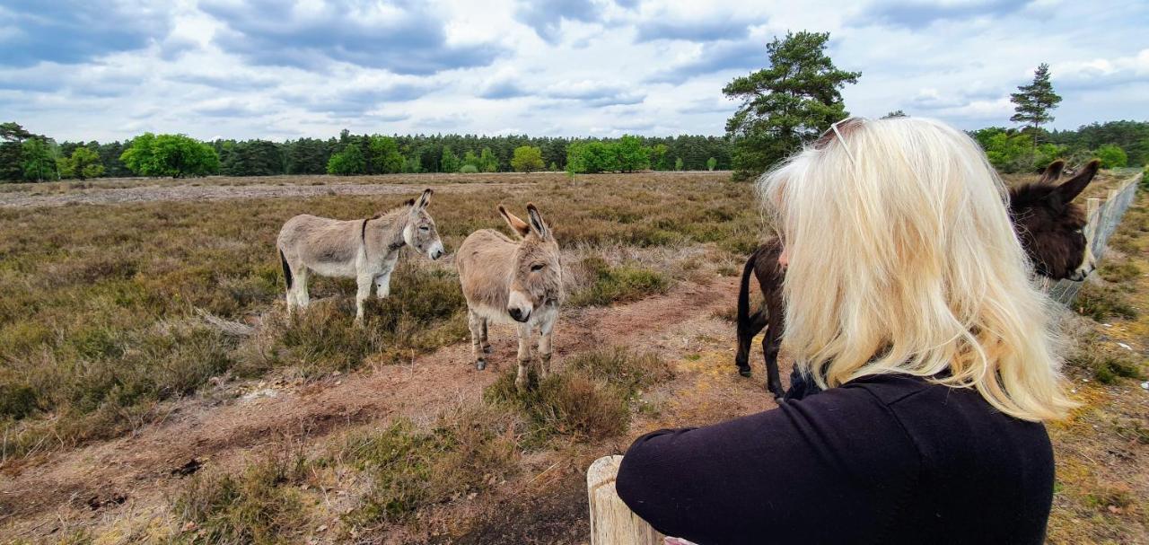 Casa Del Bosque Lejlighed Maasmechelen Eksteriør billede